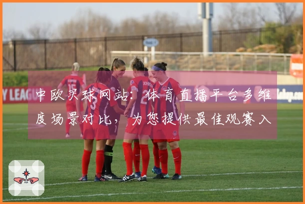 中欧买球网站：体育直播平台多维度场景对比，为您提供最佳观赛入口与使用指南