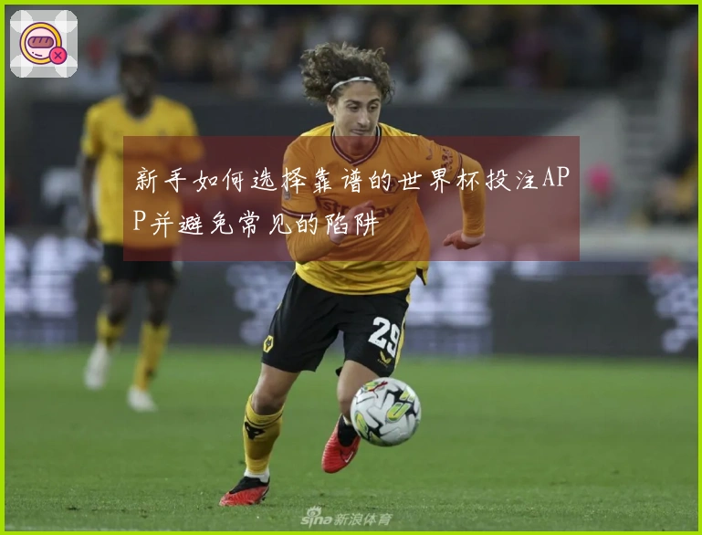 新手如何选择靠谱的世界杯投注APP并避免常见的陷阱