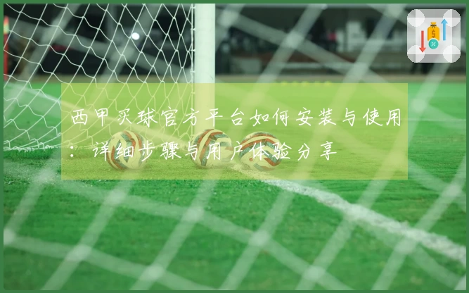 西甲买球官方平台如何安装与使用：详细步骤与用户体验分享