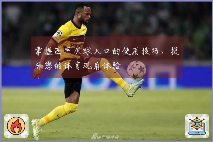 掌握西甲买球入口的使用技巧，提升您的体育观看体验