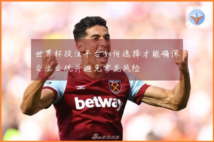 世界杯投注平台如何选择才能确保合法合规并避免常见风险