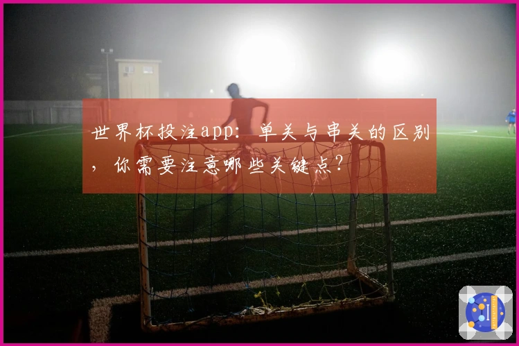 世界杯投注app：单关与串关的区别，你需要注意哪些关键点？