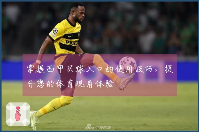 掌握西甲买球入口的使用技巧，提升您的体育观看体验