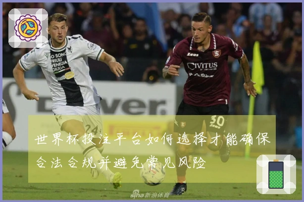 世界杯投注平台如何选择才能确保合法合规并避免常见风险