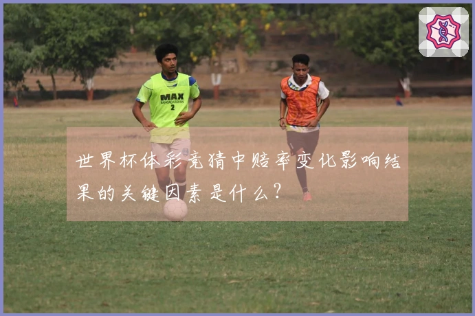 世界杯体彩竞猜中赔率变化影响结果的关键因素是什么？