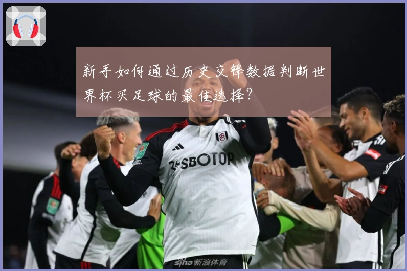 新手如何通过历史交锋数据判断世界杯买足球的最佳选择？