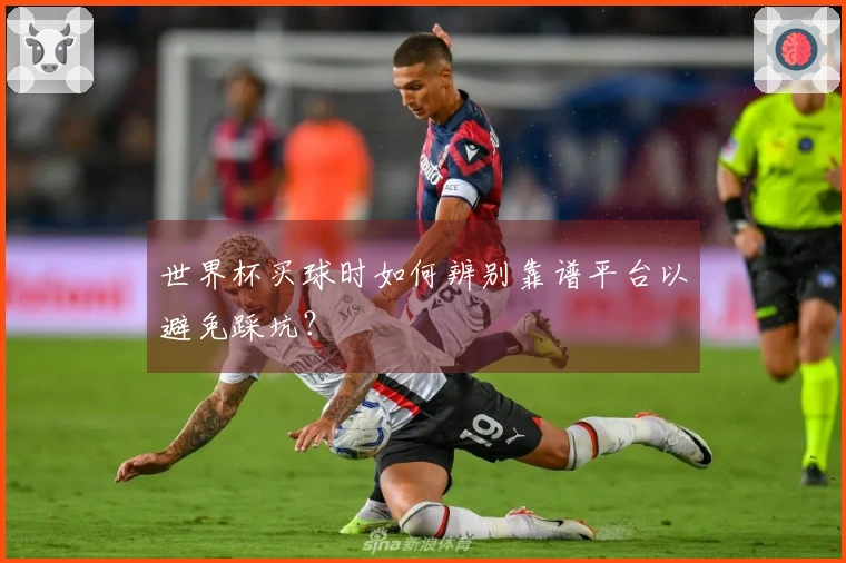 世界杯买球时如何辨别靠谱平台以避免踩坑？