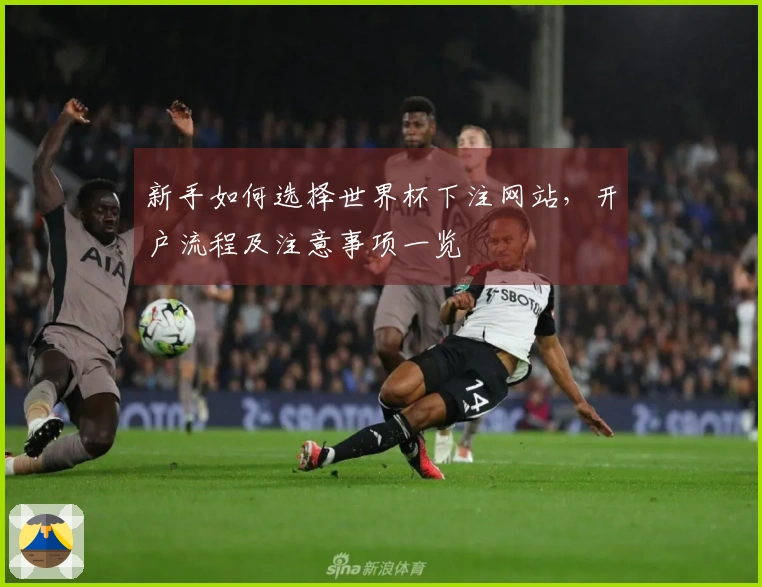 新手如何选择世界杯下注网站，开户流程及注意事项一览