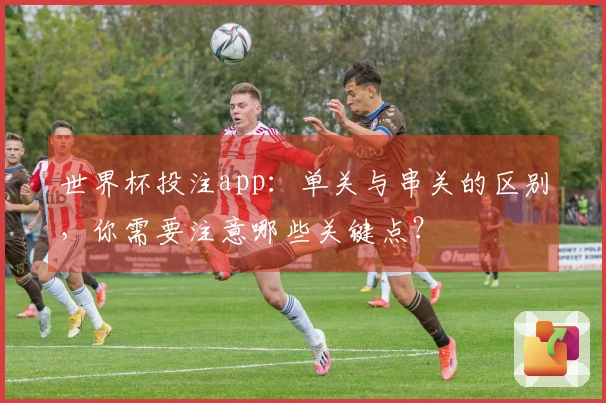 世界杯投注app：单关与串关的区别，你需要注意哪些关键点？