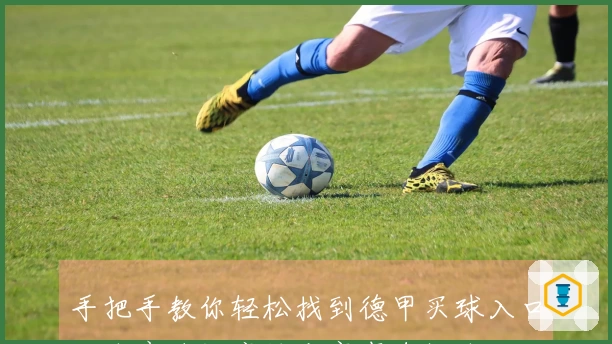 手把手教你轻松找到德甲买球入口，体育迷畅享精彩赛事直播体验