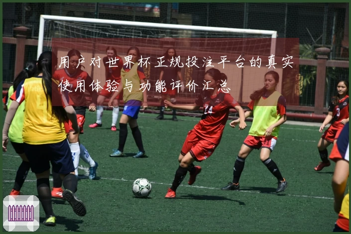 用户对世界杯正规投注平台的真实使用体验与功能评价汇总